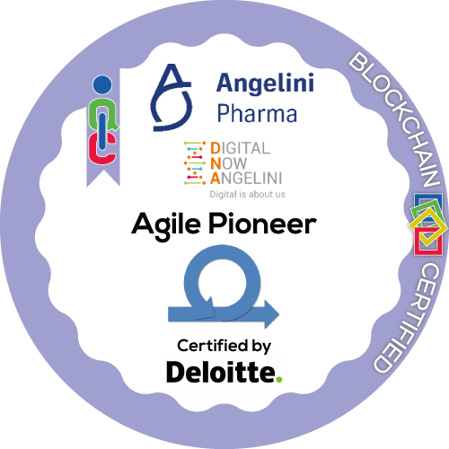 Agile Pioneer